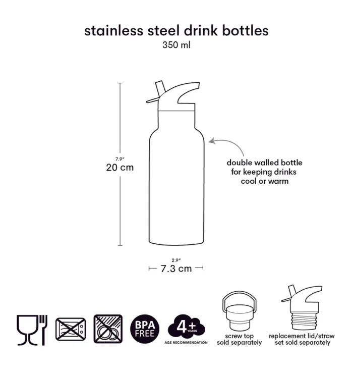 RVS drinkfles: Ijsjes - Afbeelding 2